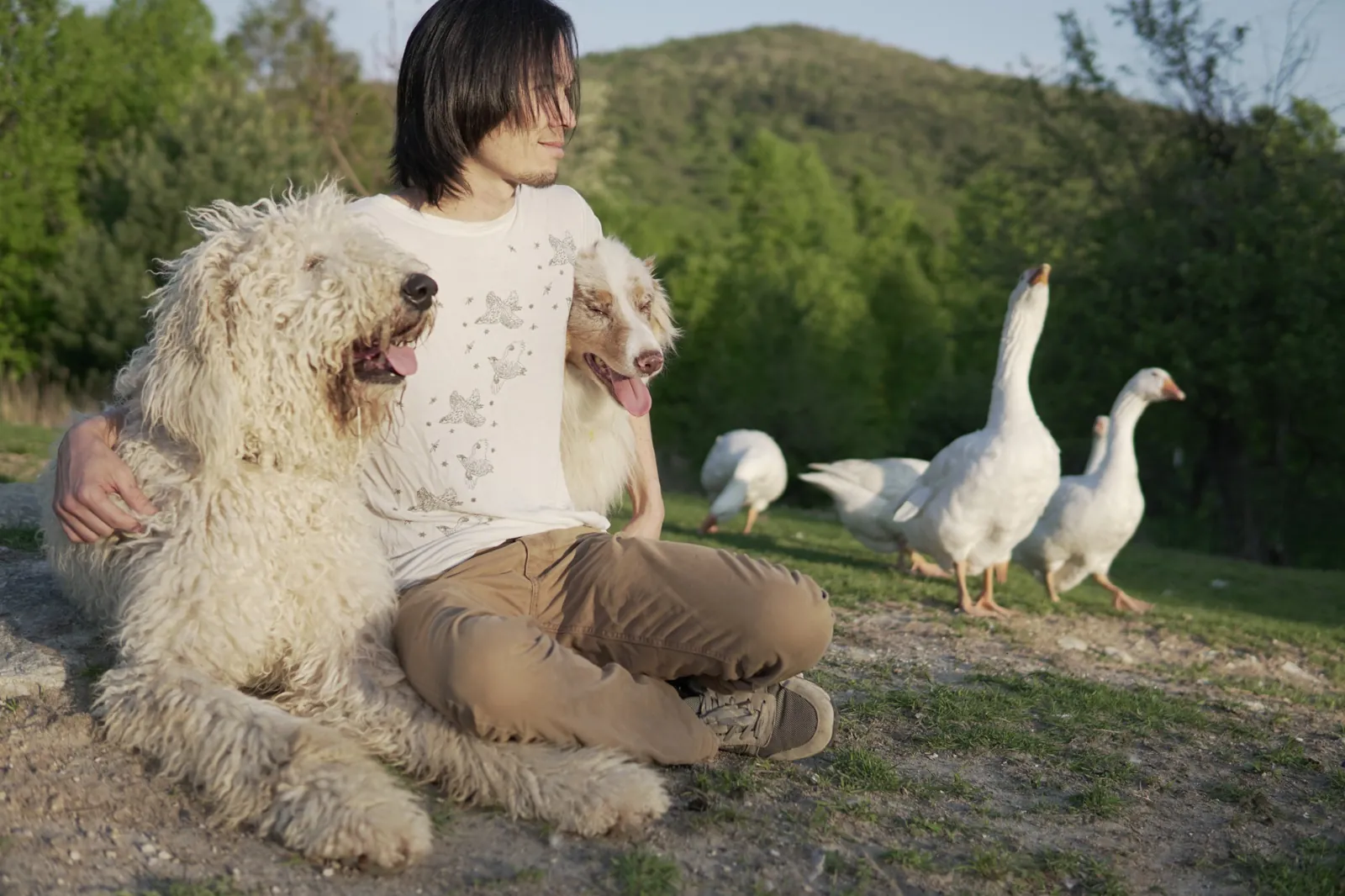 Gene sitting on a hillside between two shaggy farm dogs, with white geese behind