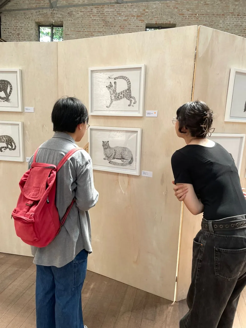 Two visitors look closely at framed drawings of a leopard cat and a resting wild cat