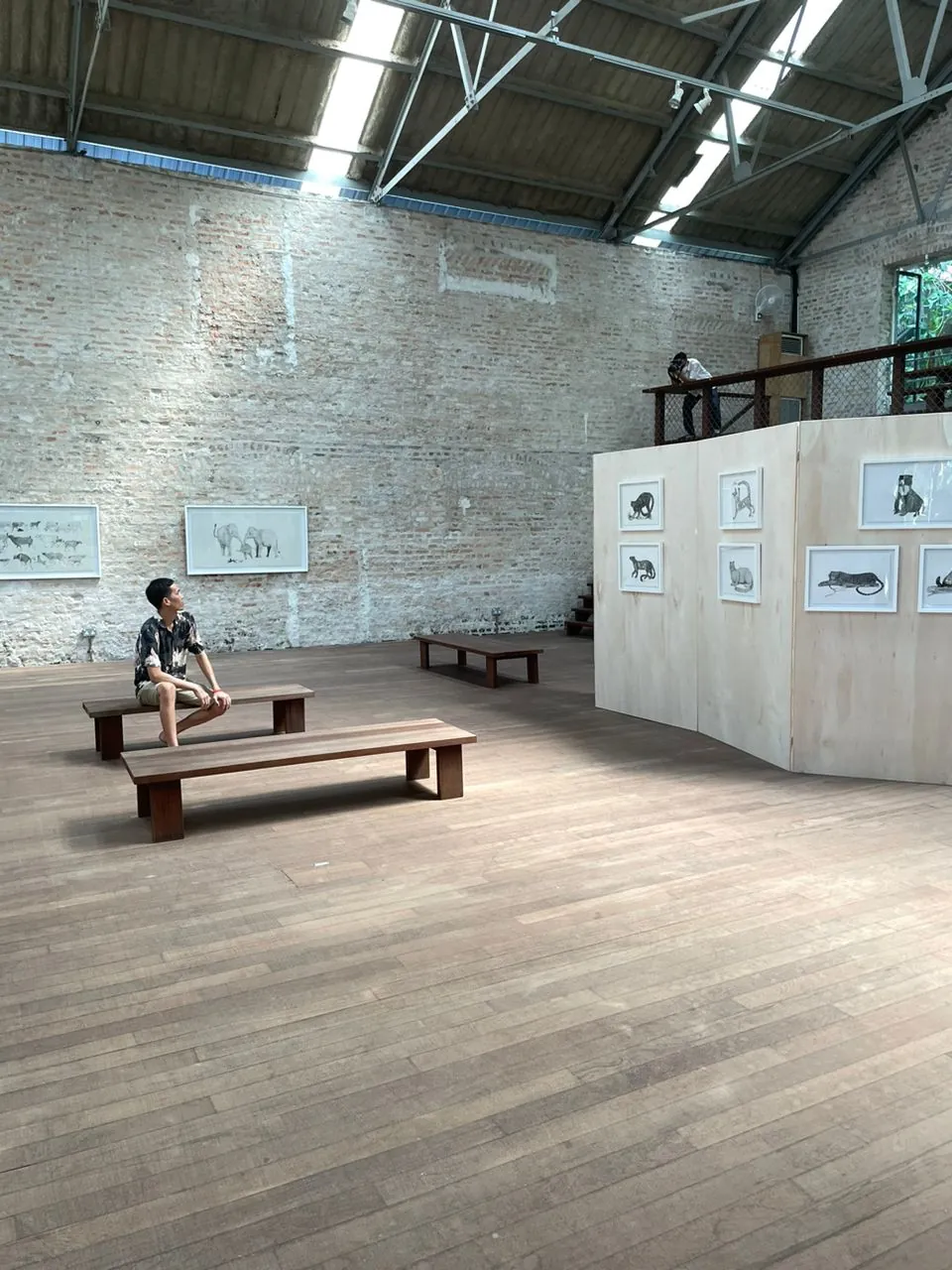 The exhibition hall with wooden benches, framed drawings on the brick wall and on plywood screens