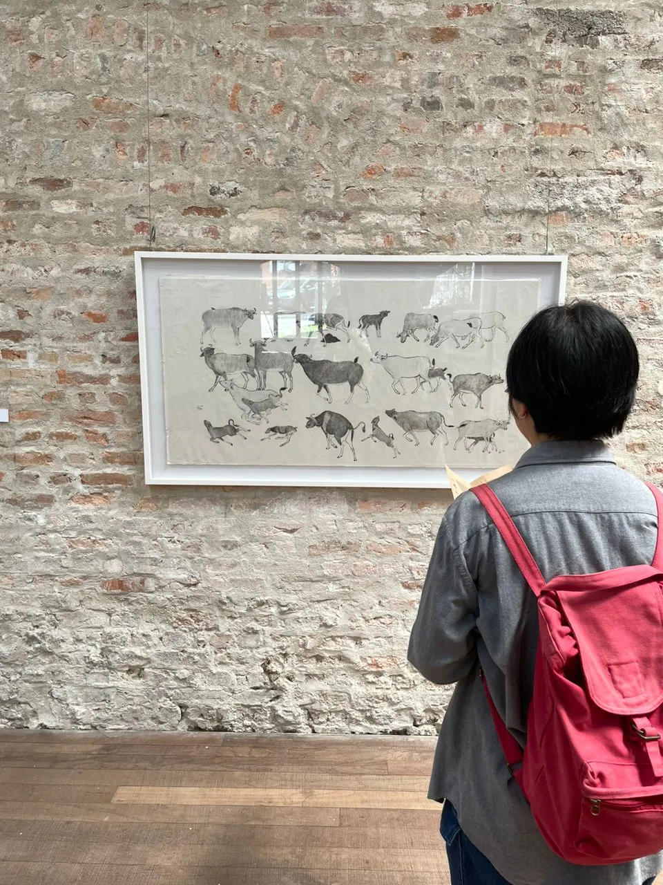 A visitor holding the exhibition notes in front of the herd drawing