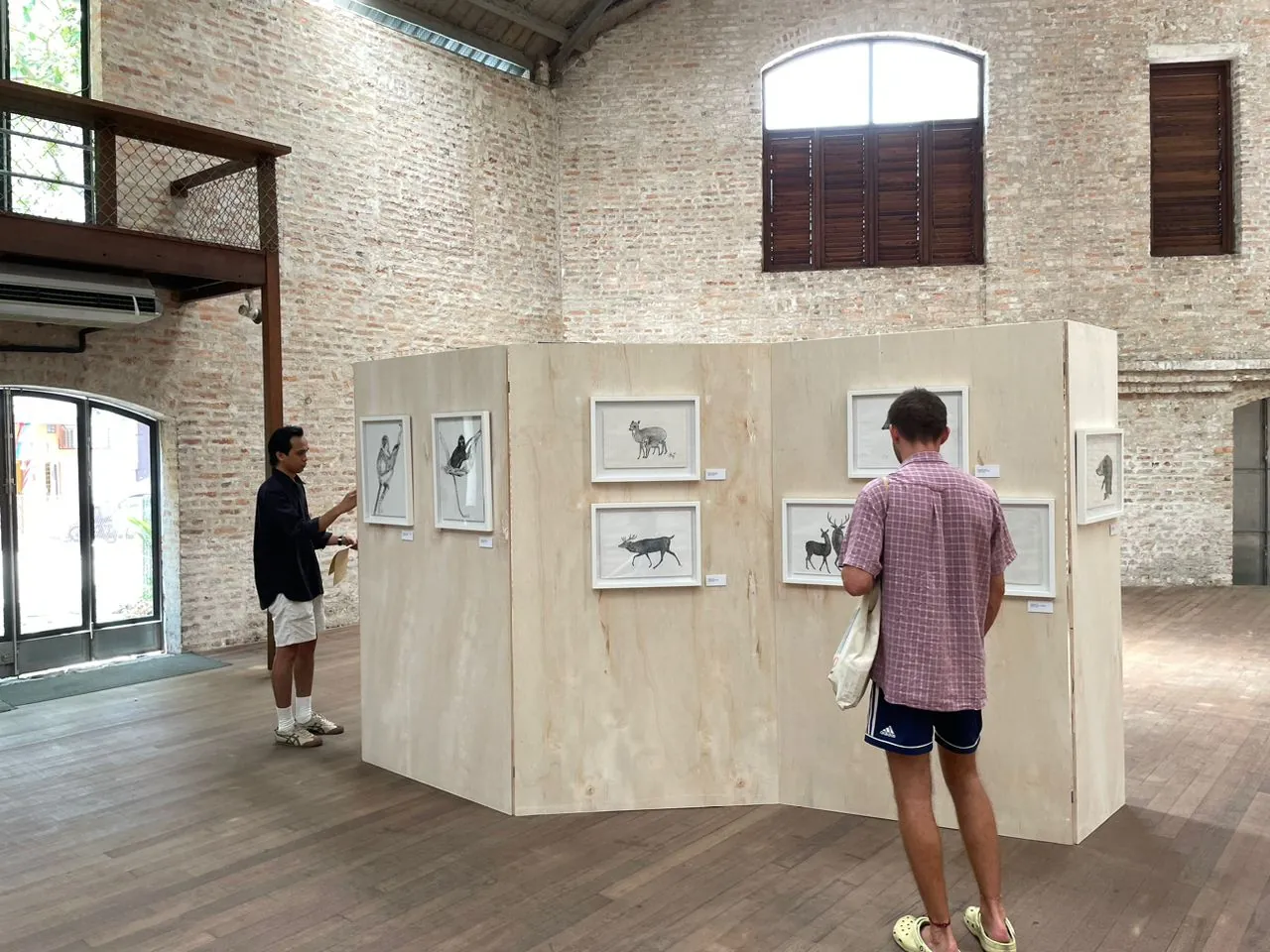 Visitors around a freestanding screen of wildlife drawings beneath arched shuttered windows