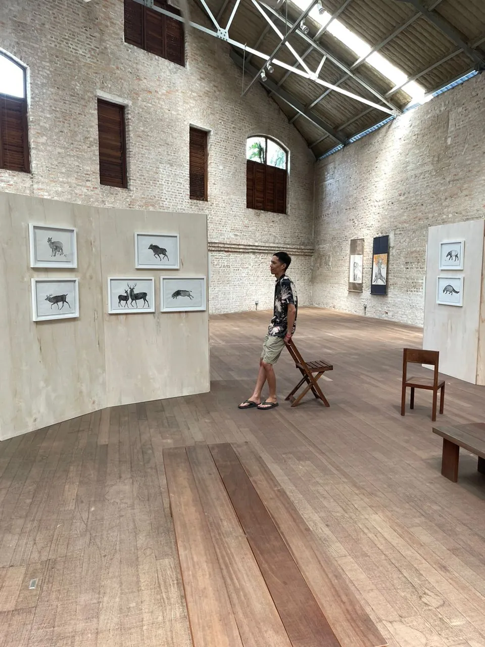 Plywood screens hung with deer, serow and gibbon drawings in the skylit hall