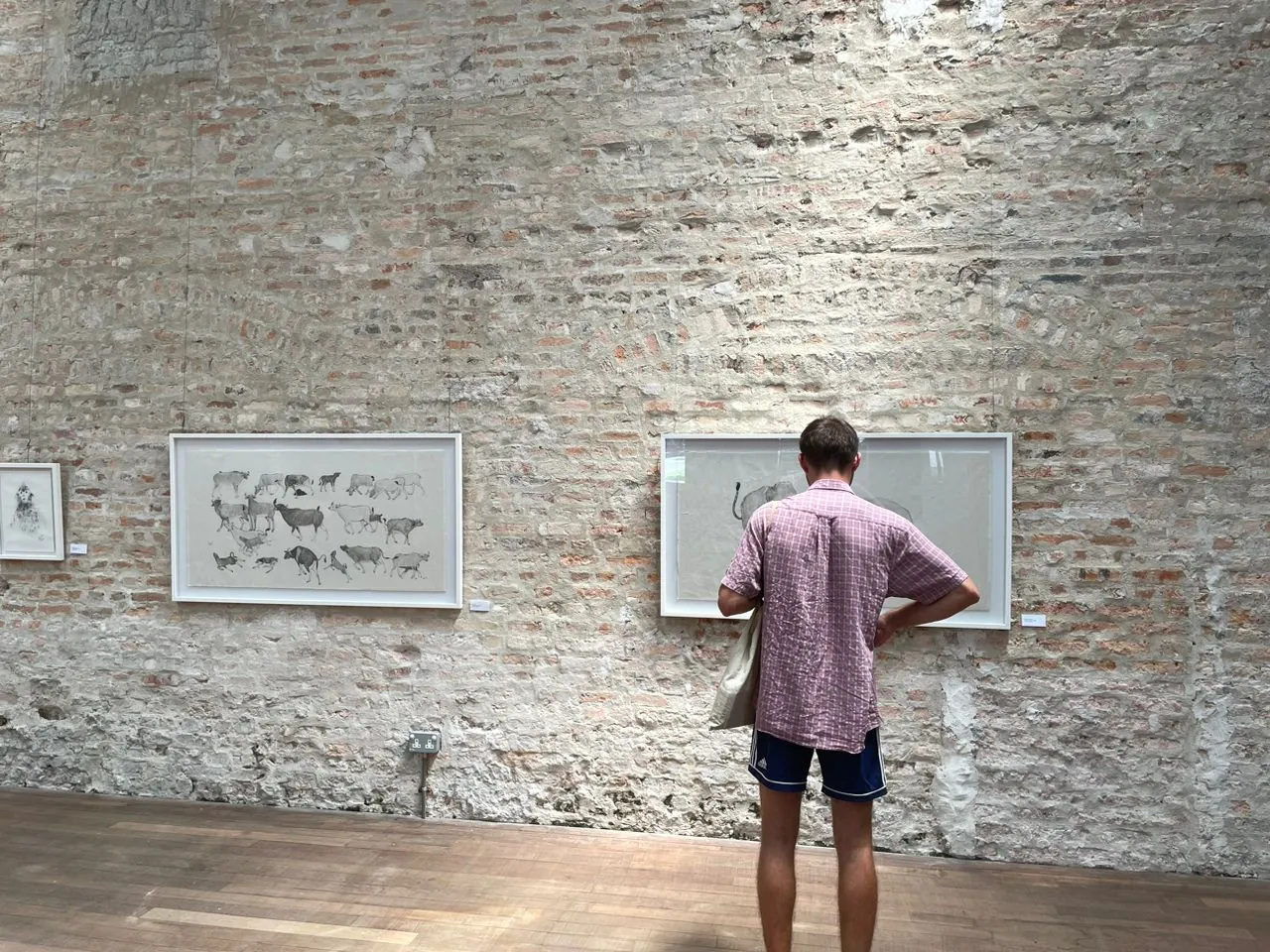 A visitor studies two large framed drawings, a herd of farm animals and an elephant, on an old brick wall