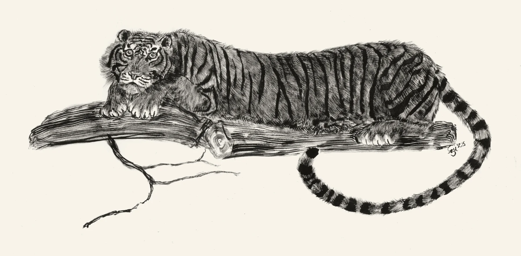 Gene's dry brush ink painting of a Malayan tiger walking