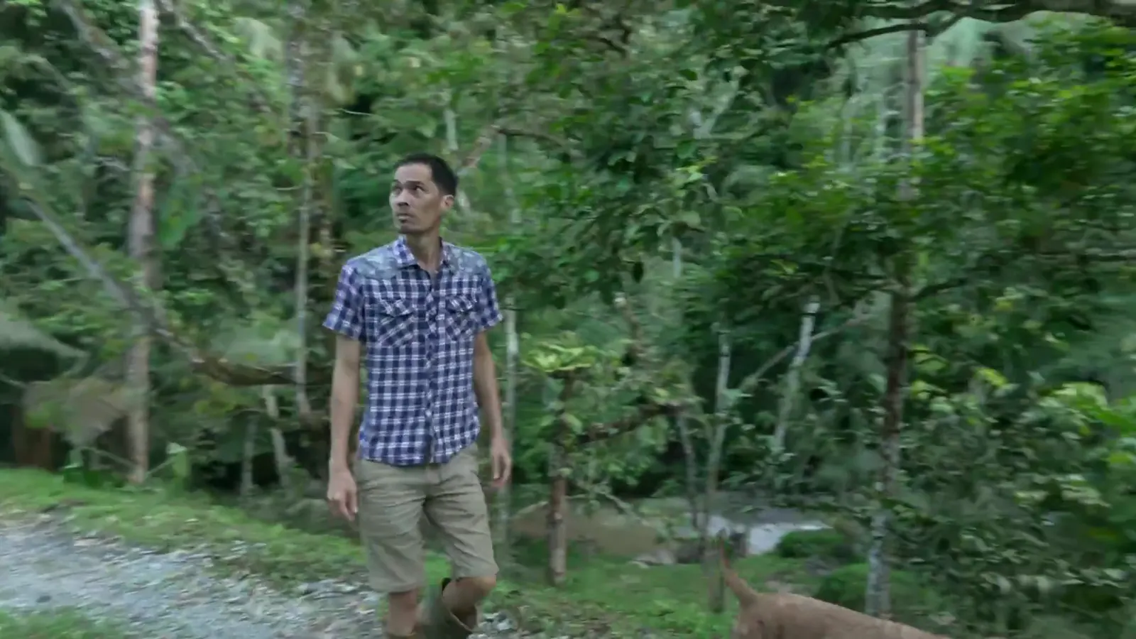 Gene walking his dogs through the orchard, dissolving into drone views of Kesyar House: coconut palms, the pond and the house among the trees