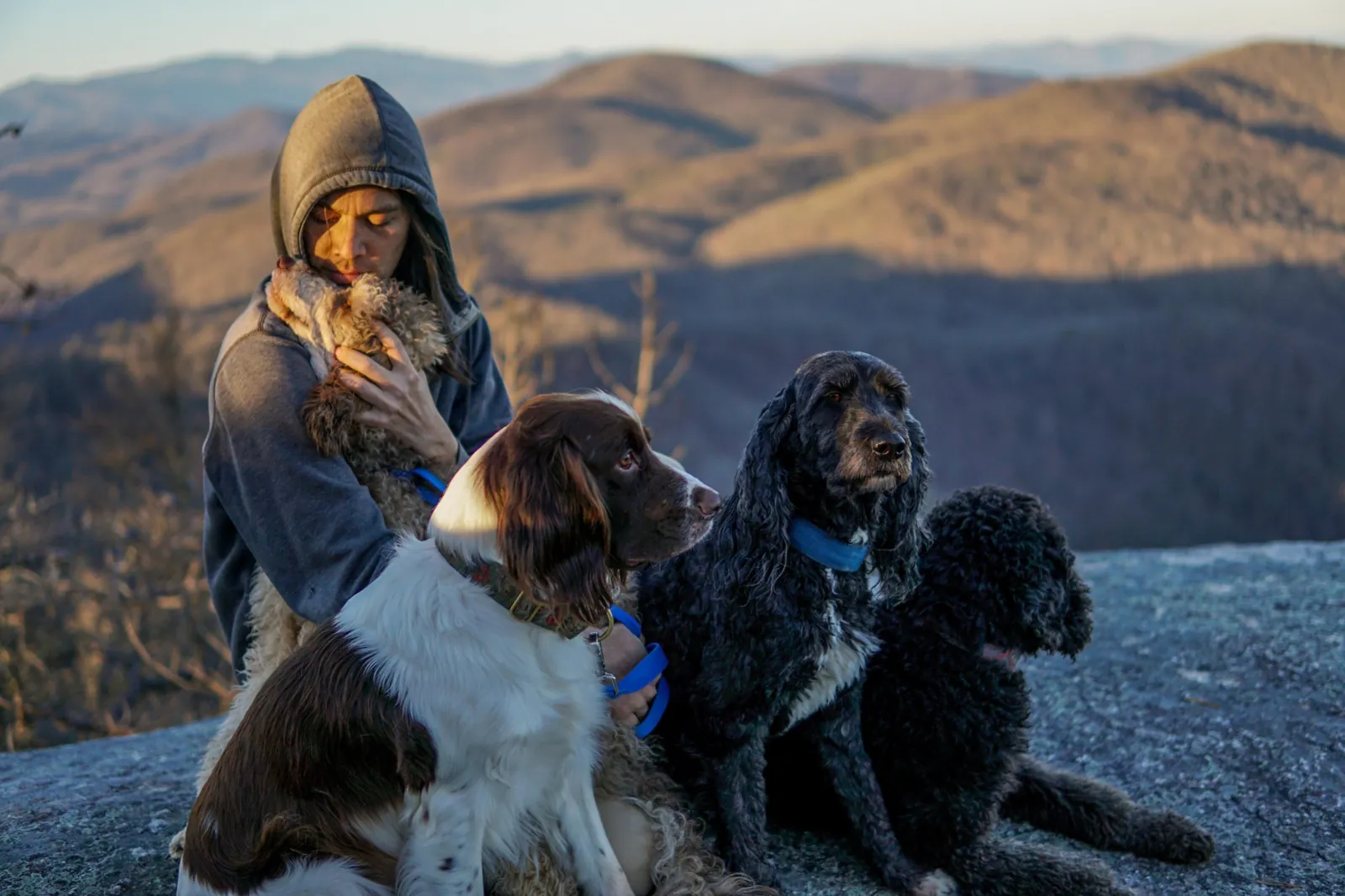 Gene in a grey hood holding a curly dog on a granite outcrop above the Blue Ridge mountains, with a springer spaniel and two black doodles beside him